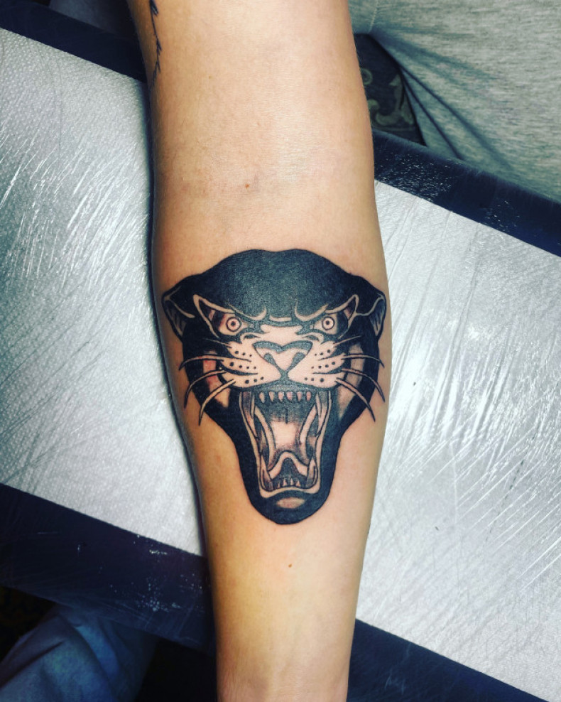 Panther, photo - Tattoo-Meister Barb Tattoo