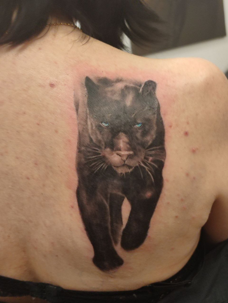  #tattookiev, photo - Tattoo Master Barb Tattoo