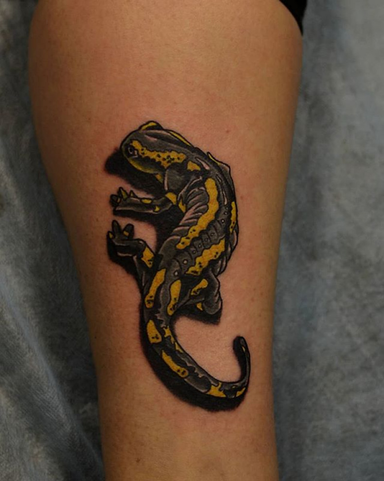 Salamandra jaszczurka, photo - Tatuażysta Barb Tattoo