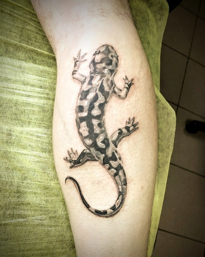 Salamandra jaszczurka, photo - Tatuażysta Barb Tattoo