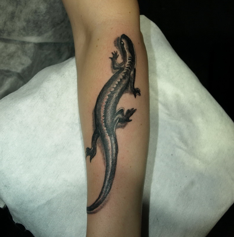 Salamander lizard, photo - Tattoo Master Barb Tattoo