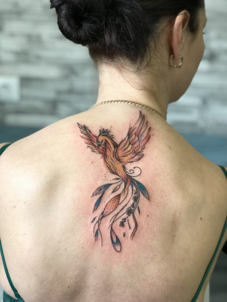 Feniks, photo - Tatuażysta Barb Tattoo