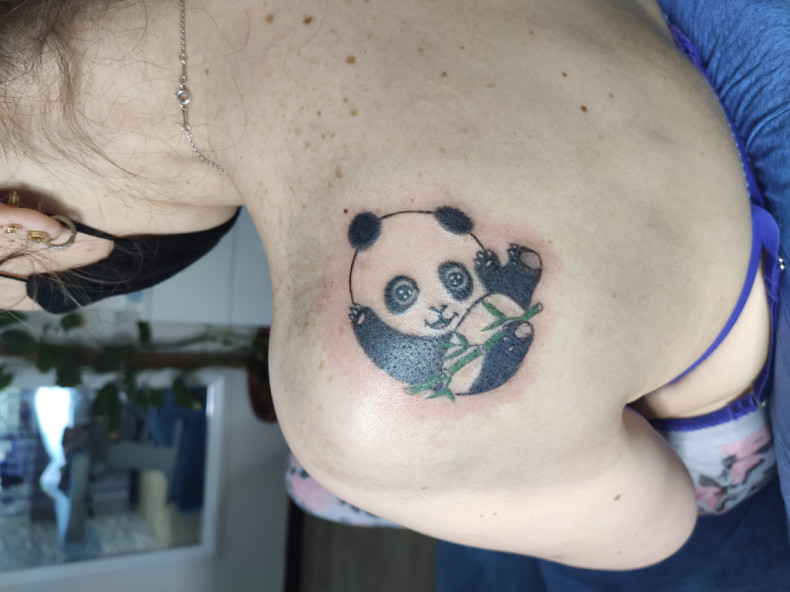 Panda, photo - Tatuażysta Barb Tattoo