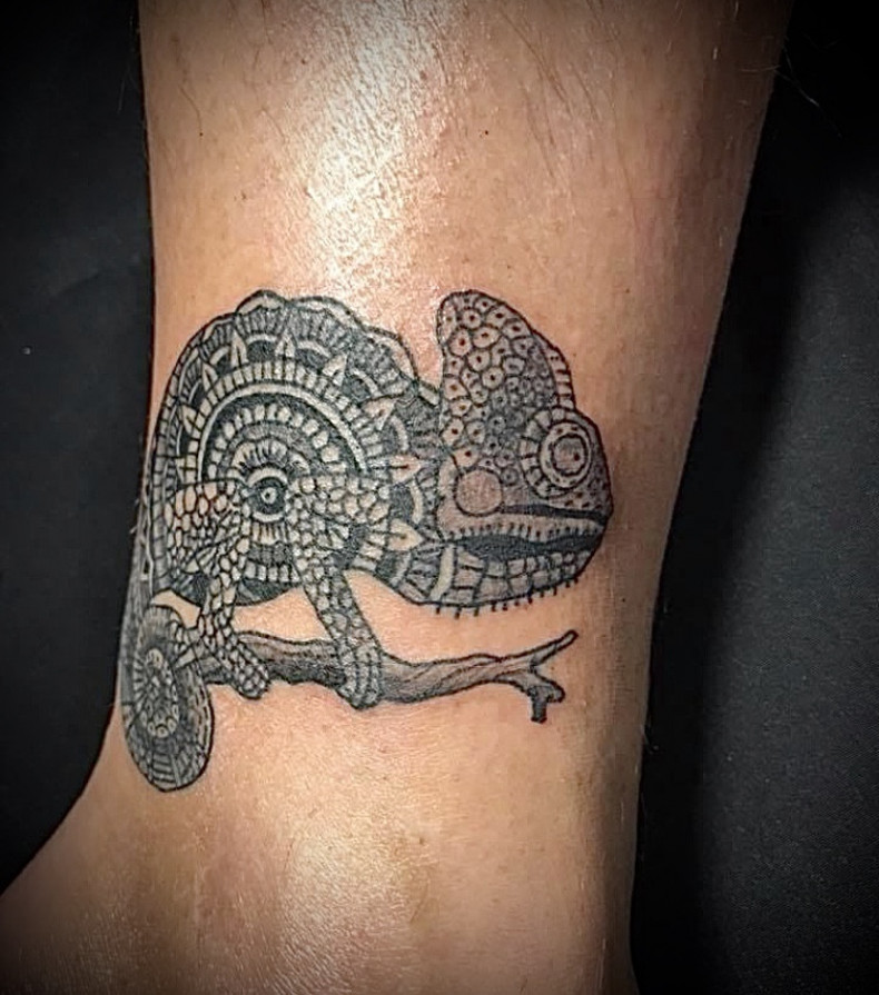 Chameleon, photo - Tattoo Master Barb Tattoo