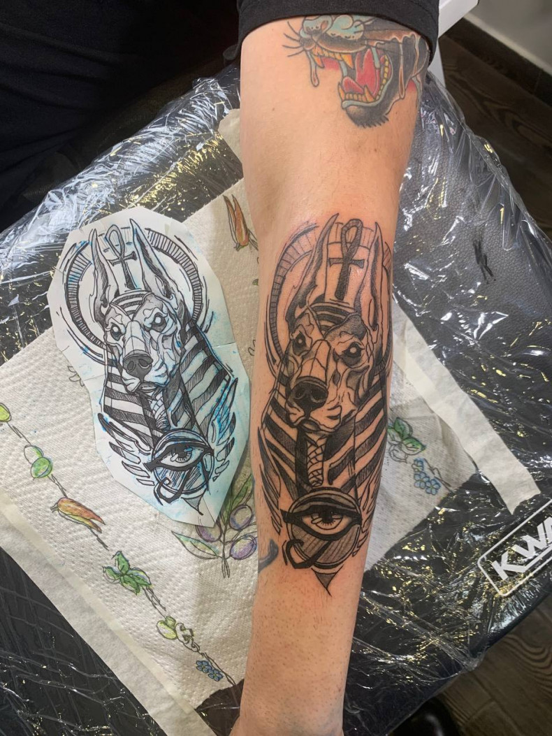 Anubis Oko Horusa, photo - Tatuażysta Barb Tattoo