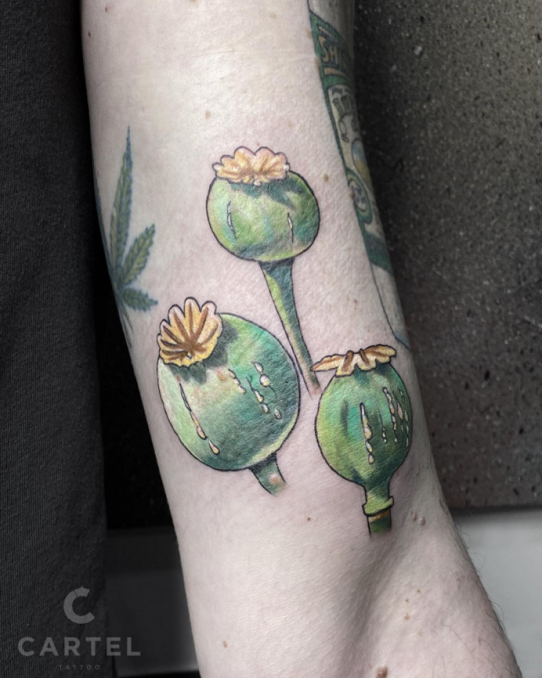 Mak marihuana, photo - Tatuażysta Barb Tattoo