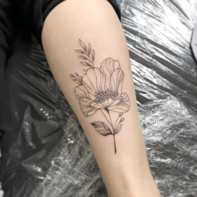 Мак цветок, photo - Тату мастер Barb Tattoo