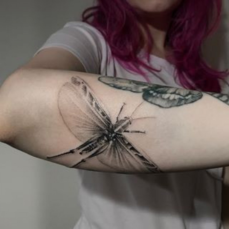 Owad ważka, photo - Tatuażysta Barb Tattoo