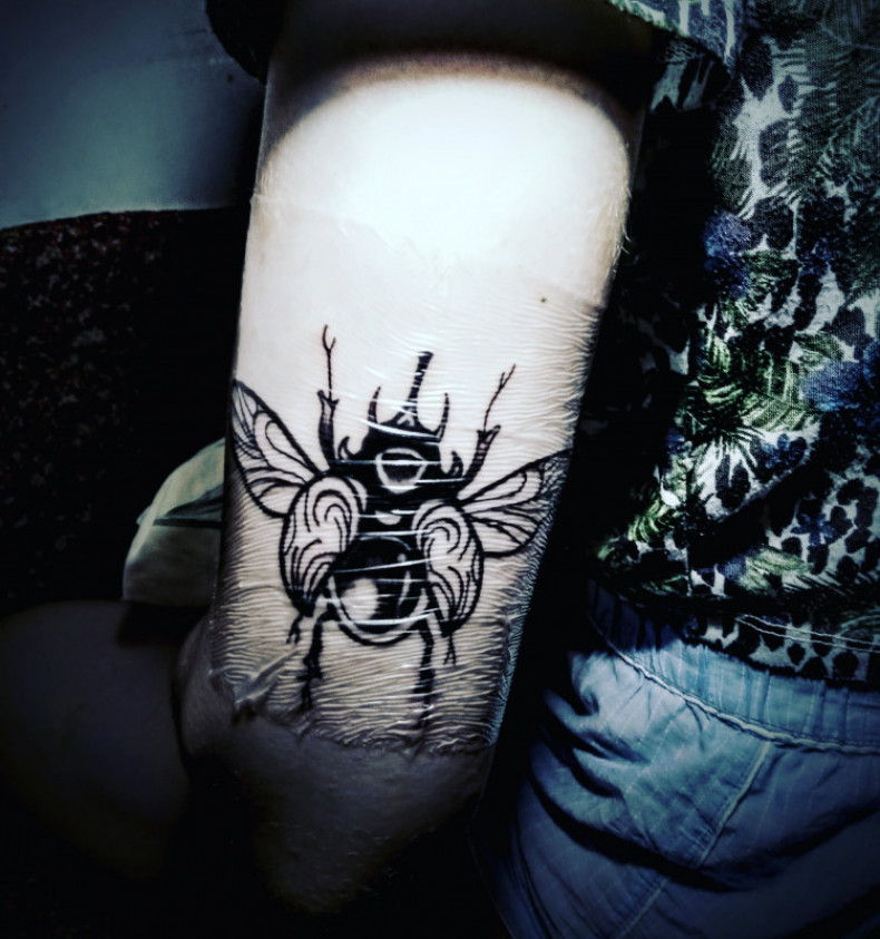 Beetle insect, photo - Tattoo Master Barb Tattoo