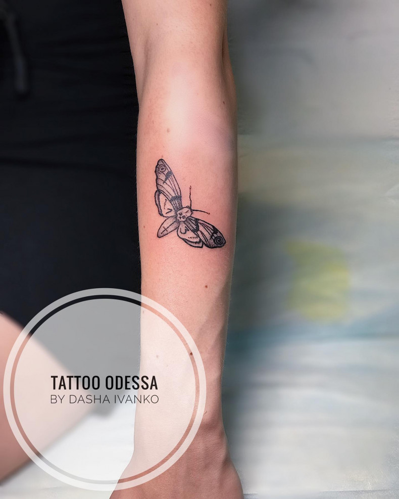 Моль мотылек насекомое, photo - Тату мастер Barb Tattoo