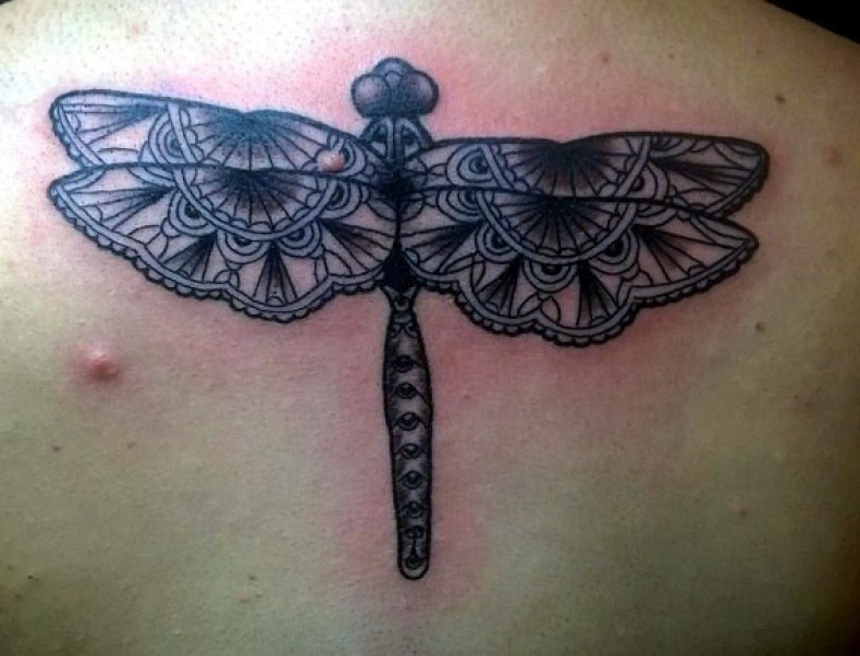 Insect dragonfly, photo - Tattoo Master Barb Tattoo