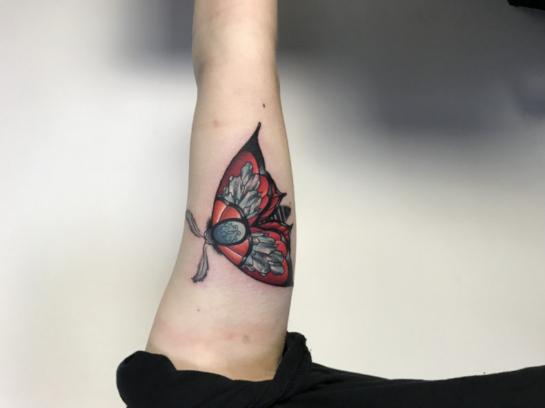 Моль мотылек насекомое, photo - Тату мастер Barb Tattoo