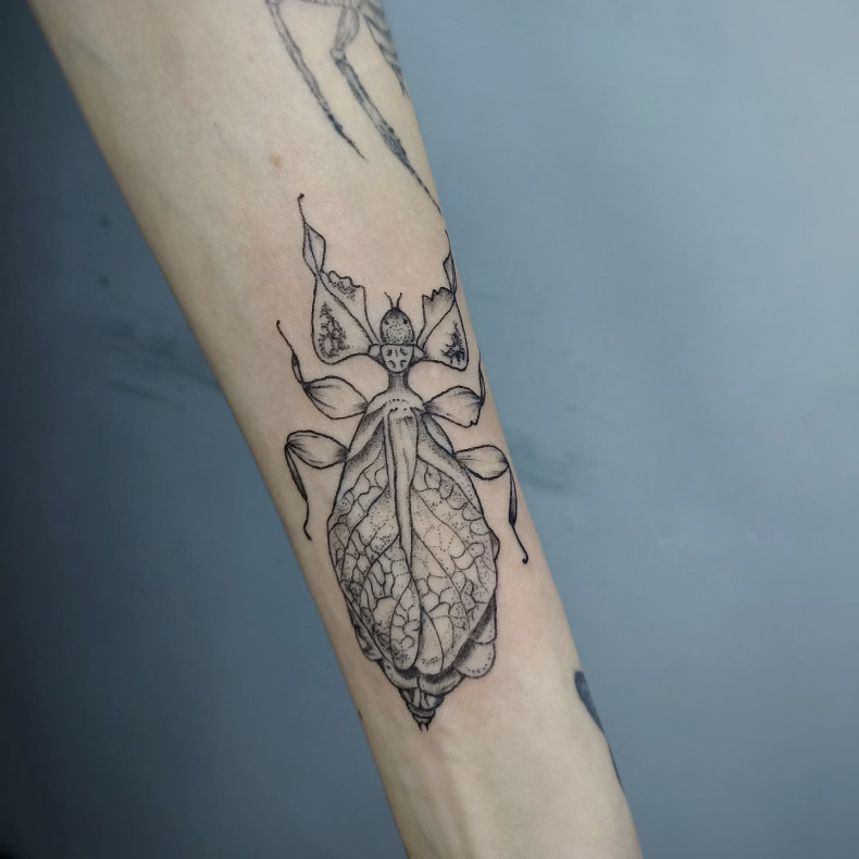 Насекомое, photo - Тату мастер Barb Tattoo