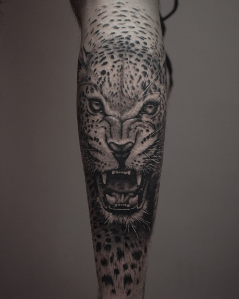 Schwarzgrau jaguar, photo - Tattoo-Meister Barb Tattoo