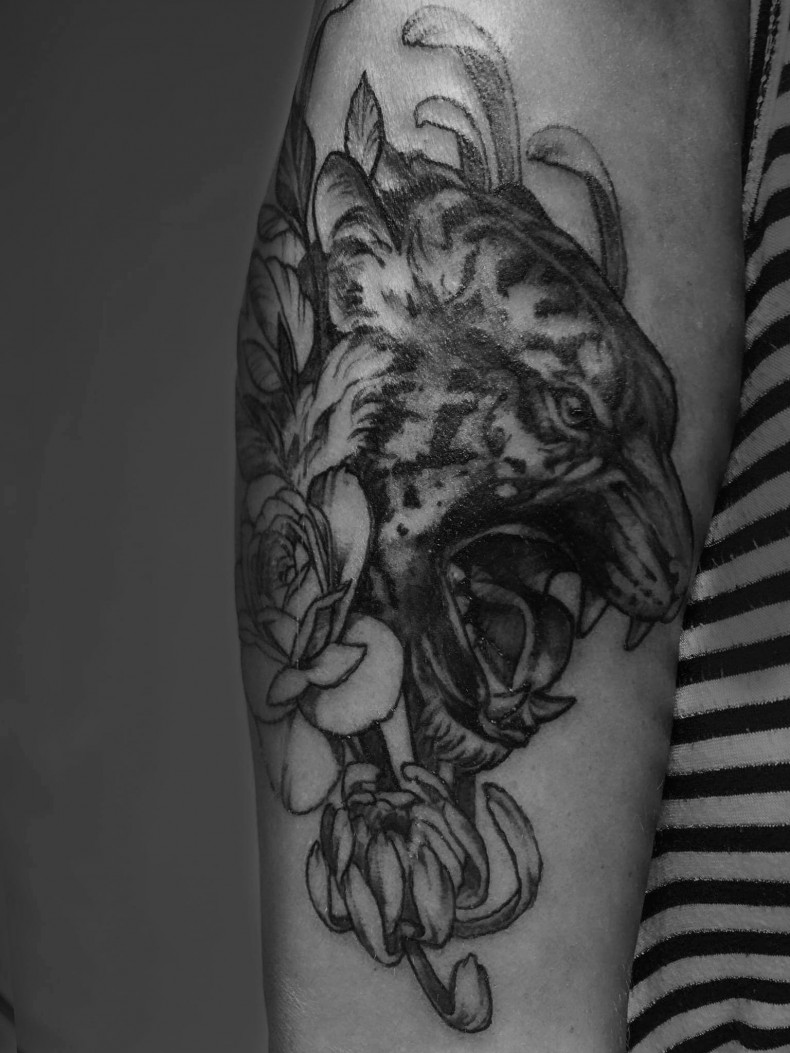 Schwarzgrau jaguar, photo - Tattoo-Meister Barb Tattoo