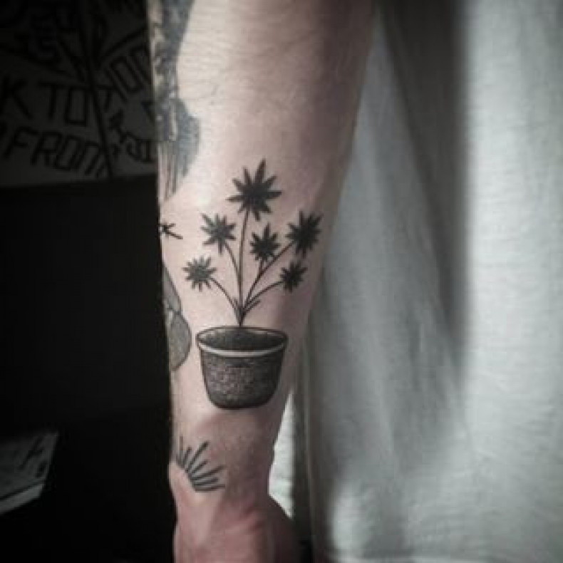 Marihuana, photo - Tattoo-Meister Barb Tattoo