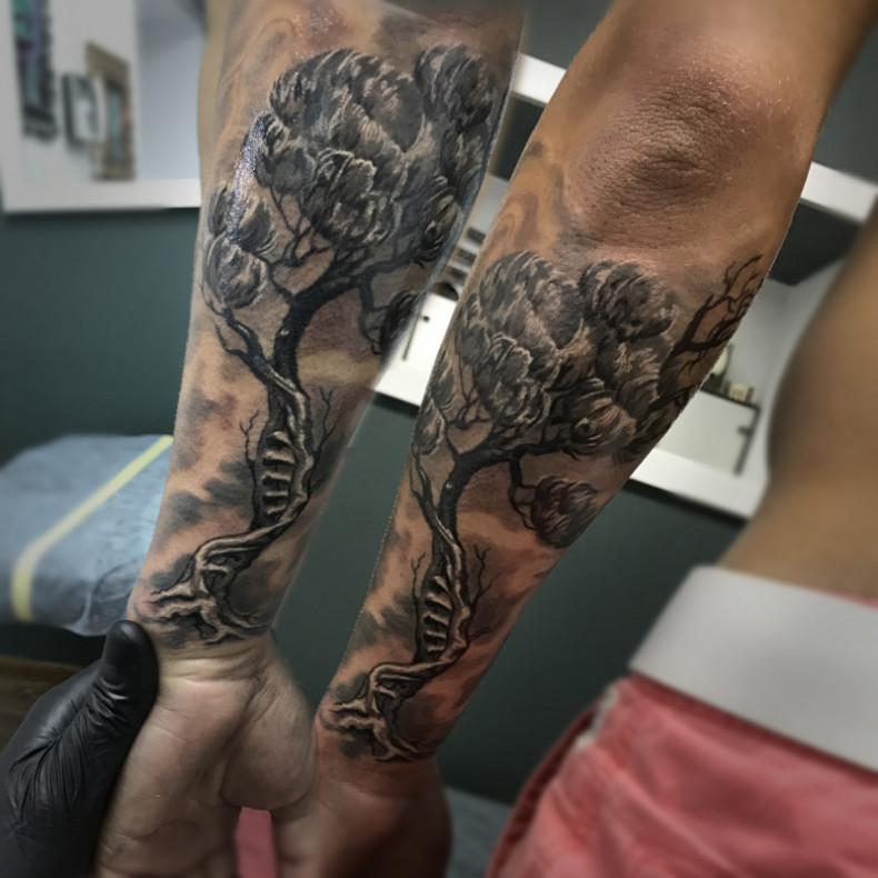 Tatuaż drzewo dla piłkarzy, którzy dużo wiedzą o tatuażach pisma ręcznego, photo - Tatuażysta Barb Tattoo