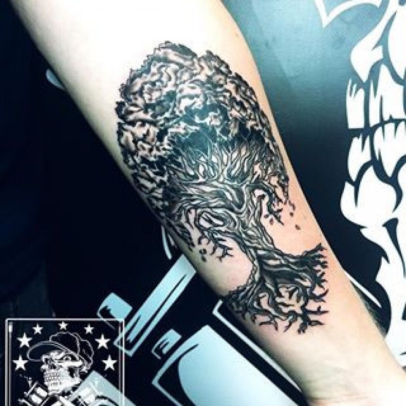 Tree of life, photo - Tattoo Master Barb Tattoo