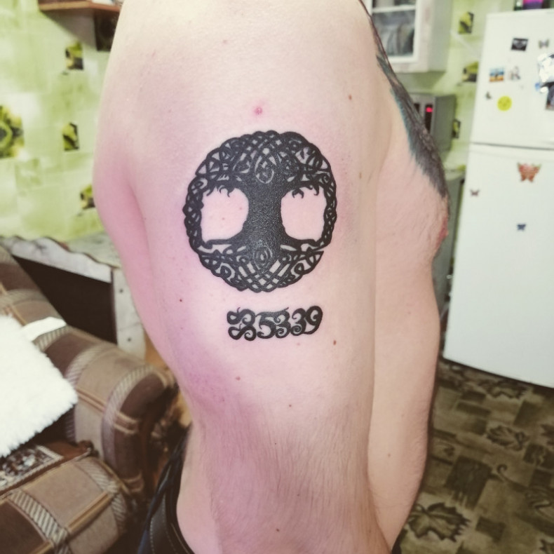 Drzewo życia, photo - Tatuażysta Barb Tattoo