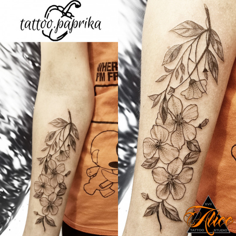 Sakura, photo - Tattoo Master Barb Tattoo