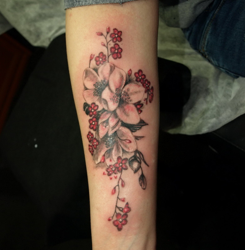 Sakura, photo - Tattoo Master Barb Tattoo