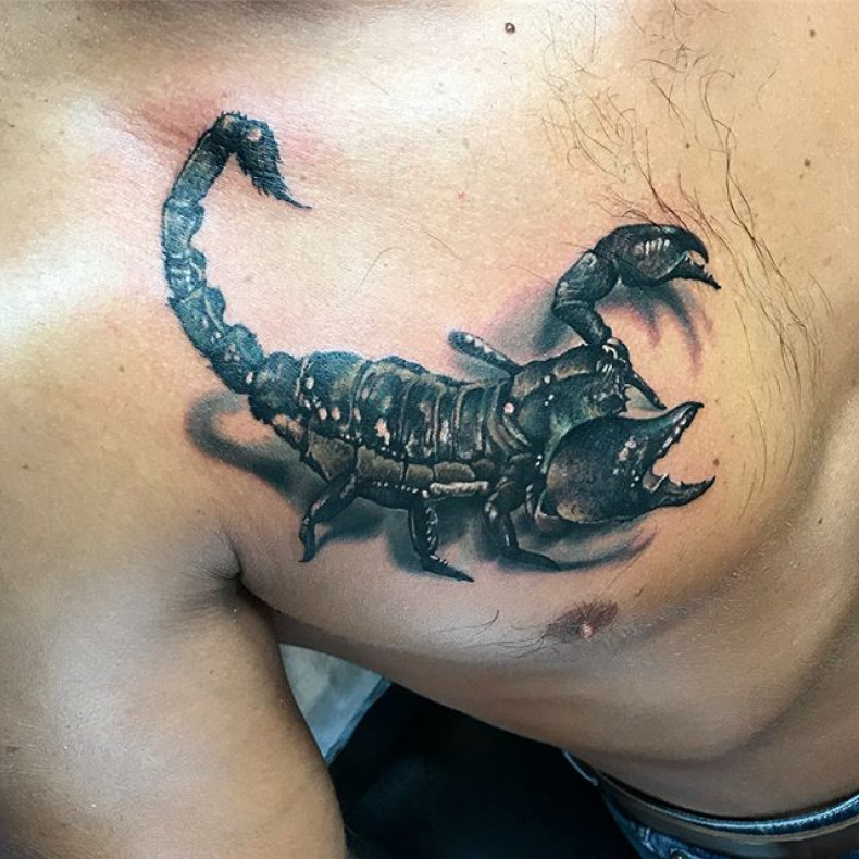 Skorpion, photo - Tatuażysta Barb Tattoo