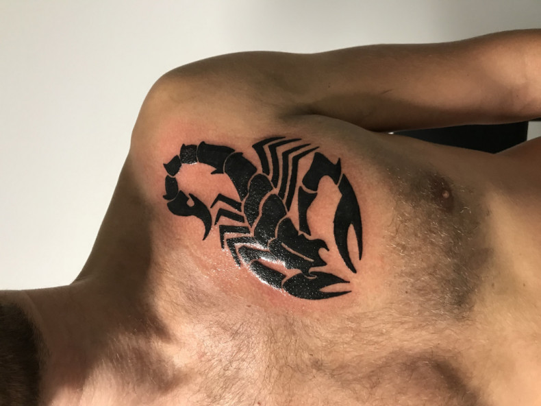 Skorpion, photo - Tatuażysta Barb Tattoo