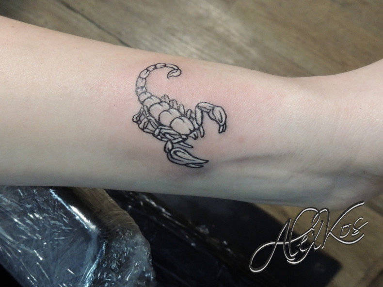 Skorpion, photo - Tatuażysta Barb Tattoo