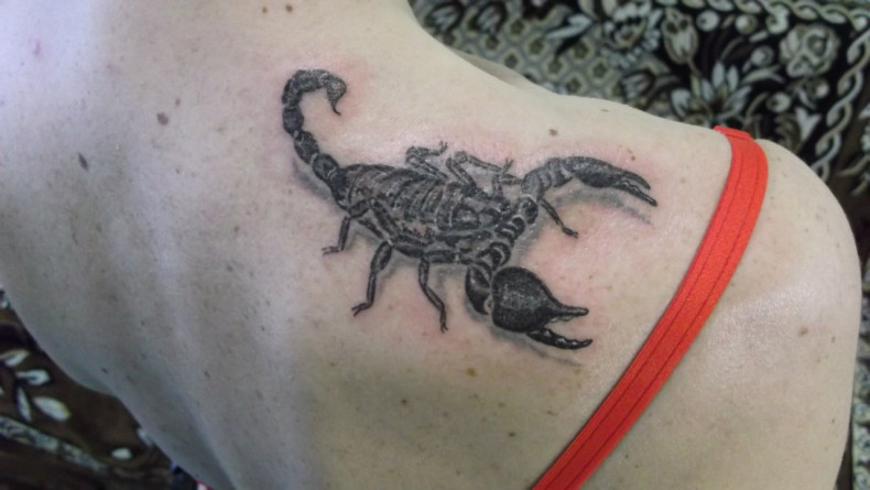 Skorpion, photo - Tatuażysta Barb Tattoo