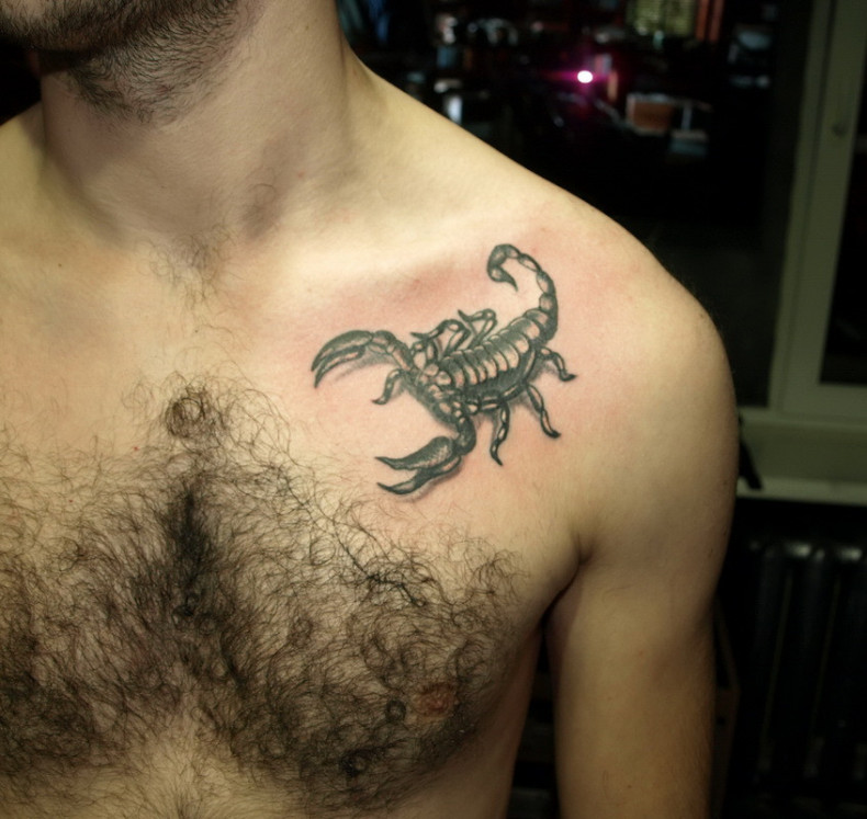 Skorpion, photo - Tatuażysta Barb Tattoo