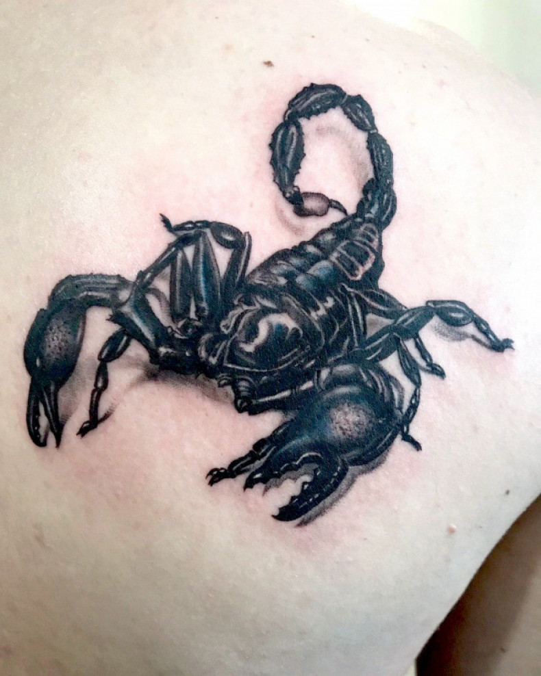 Skorpion, photo - Tatuażysta Barb Tattoo