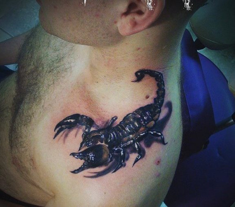 Skorpion, photo - Tatuażysta Barb Tattoo