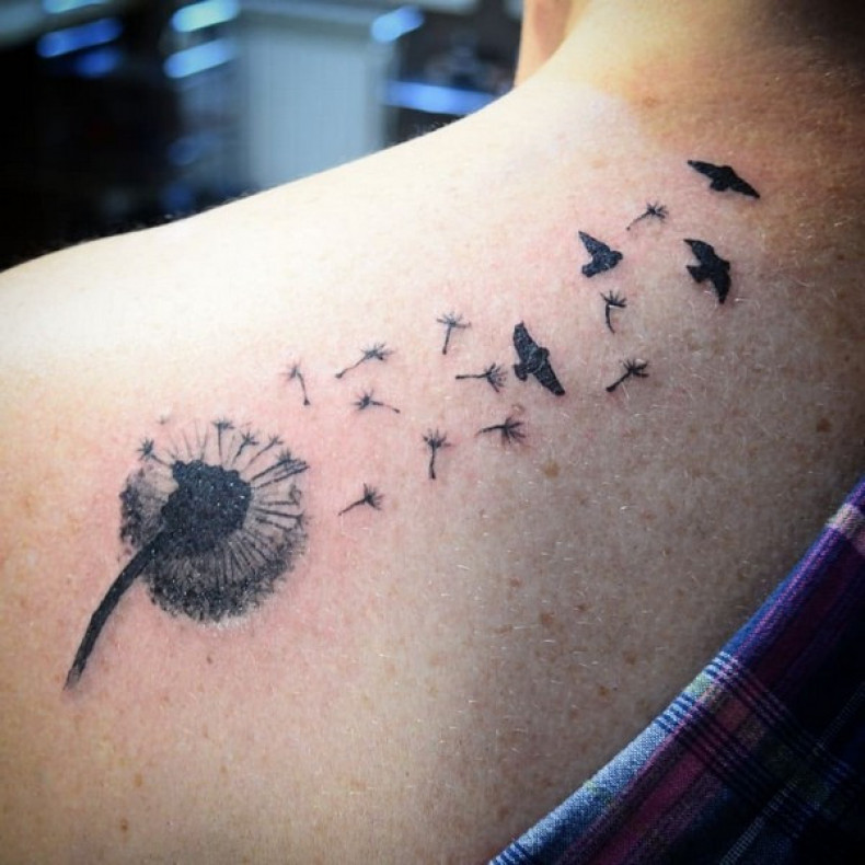 Dandelion, photo - Tattoo Master Barb Tattoo