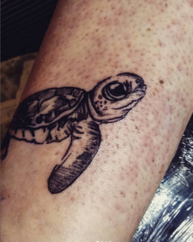 Powłoka, photo - Tatuażysta Barb Tattoo