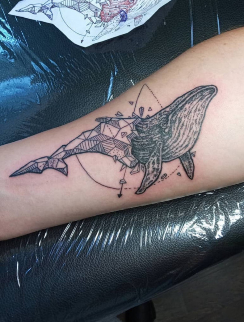 Wieloryb, photo - Tatuażysta Barb Tattoo