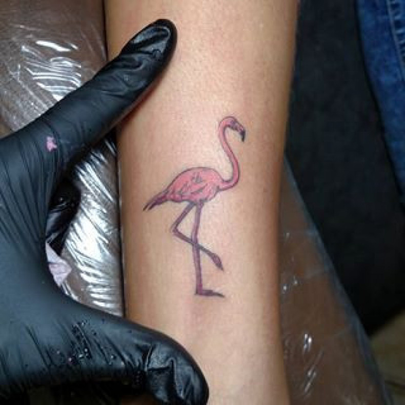 Flamingo, photo - Tattoo-Meister Barb Tattoo