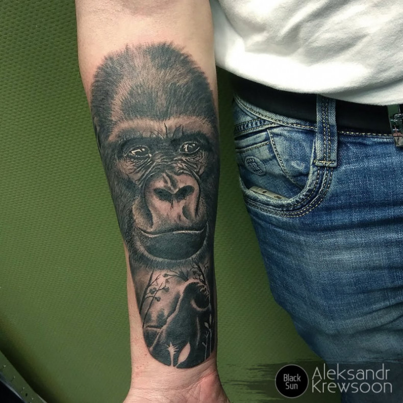 Gorilla monkey, photo - Tattoo Master Barb Tattoo