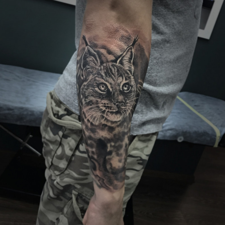 Lynx in tattoo. Tattoo studio of Dima Yavtushenko, photo - Tattoo Master Barb Tattoo