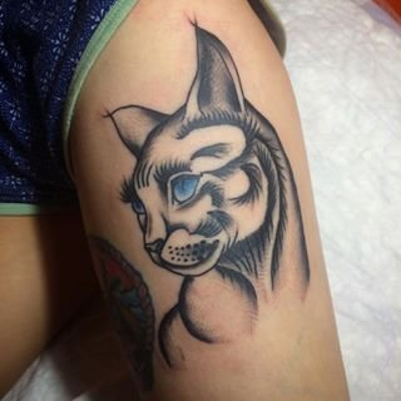 Lynx, photo - Tattoo Master Barb Tattoo