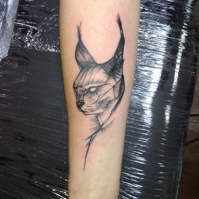 Lynx, photo - Tattoo Master Barb Tattoo