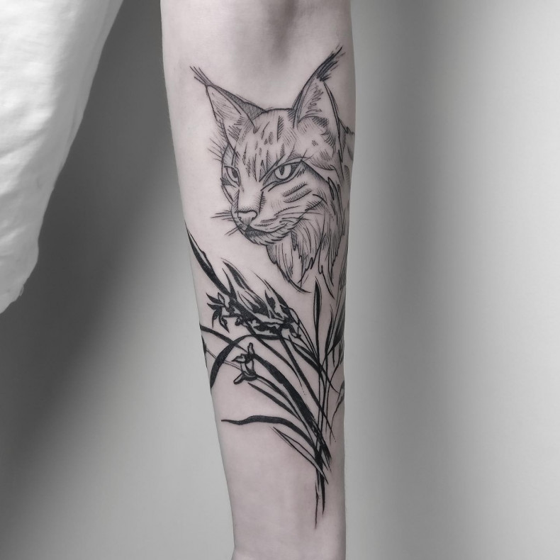 Lynx, photo - Tattoo Master Barb Tattoo