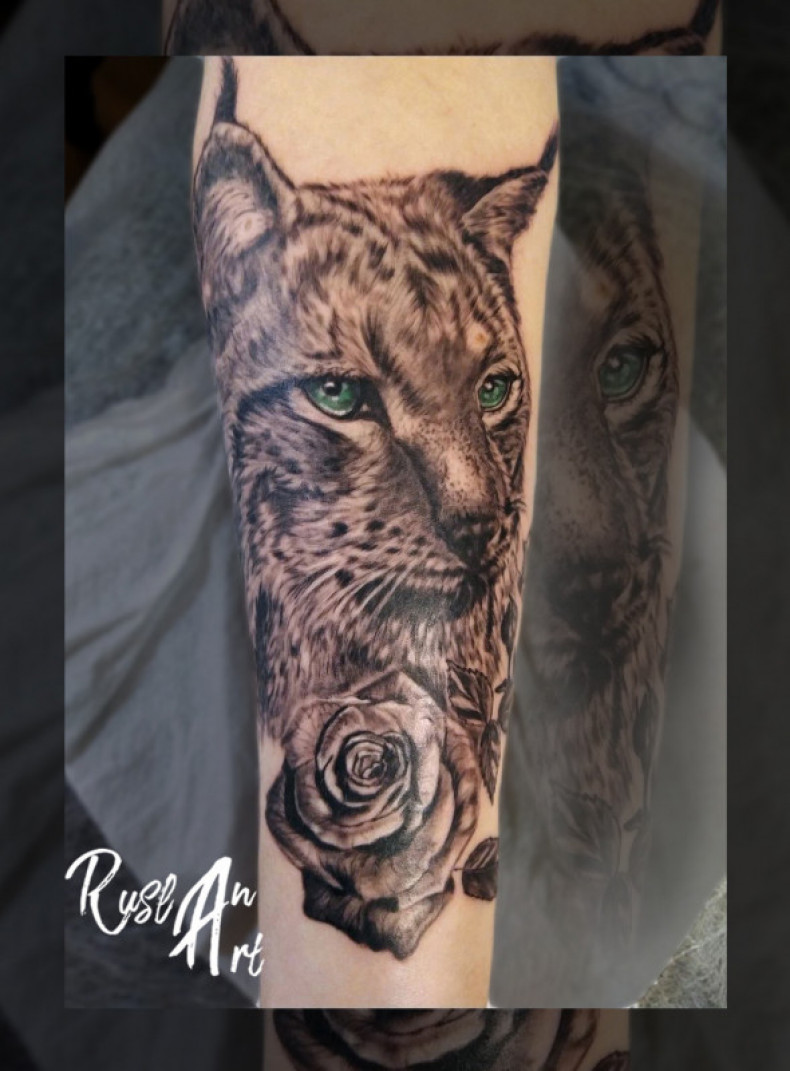 Lynx, photo - Tattoo Master Barb Tattoo