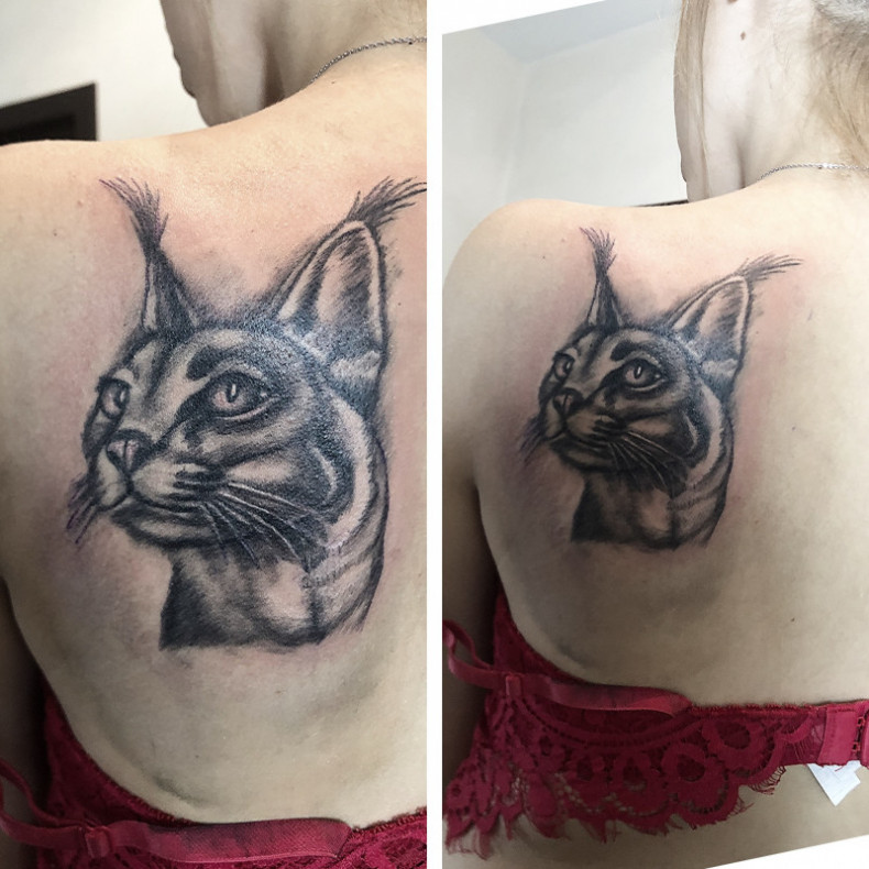 Lynx, photo - Tattoo Master Barb Tattoo