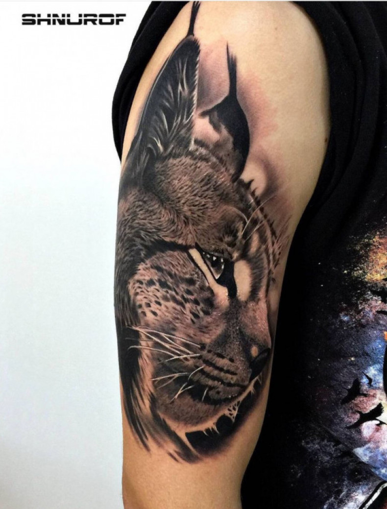 Lynx, photo - Tattoo Master Barb Tattoo