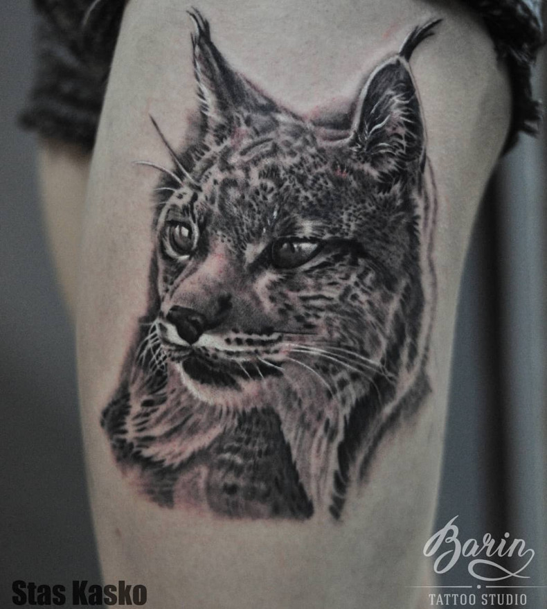 Luchs, photo - Tattoo-Meister Barb Tattoo