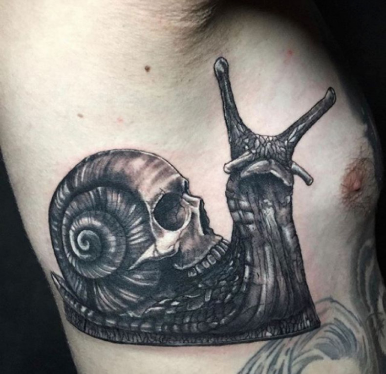 Ślimak, photo - Tatuażysta Barb Tattoo