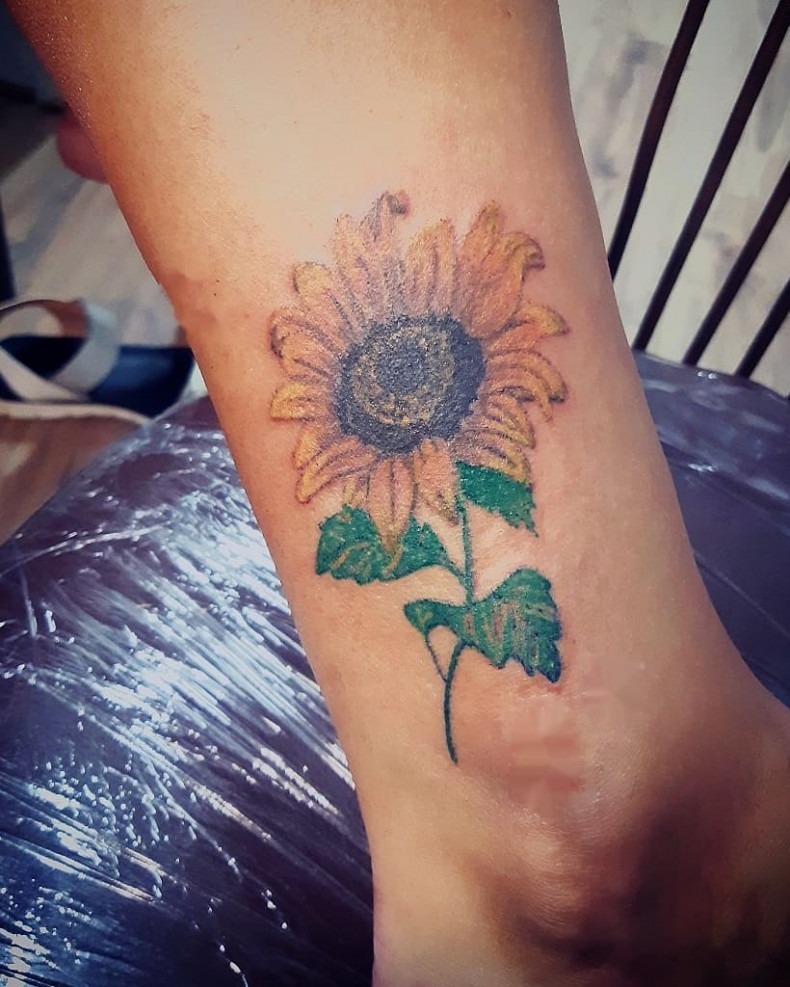 Sunflower, photo - Tattoo Master Barb Tattoo