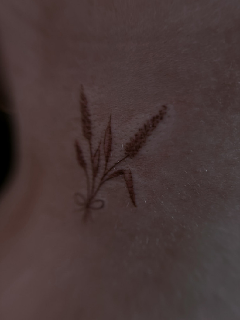 Tattoo in brown pigment #browntattoo, photo - Tattoo Master Barb Tattoo