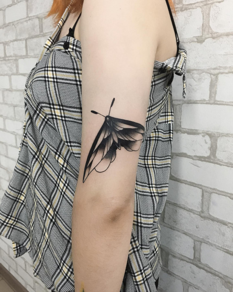 Моль мотылек, photo - Тату мастер Barb Tattoo