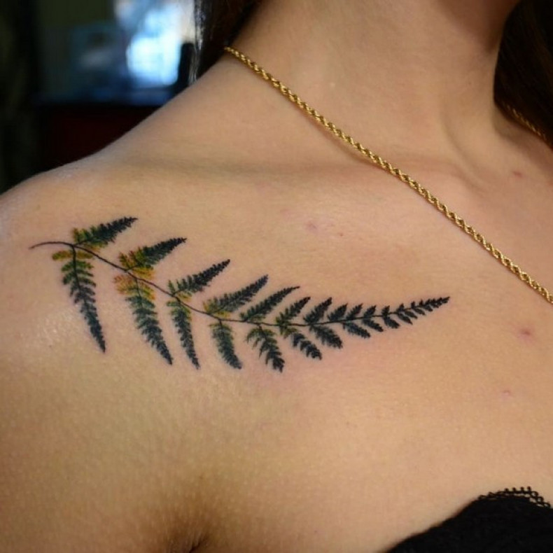 Fern, photo - Tattoo Master Barb Tattoo